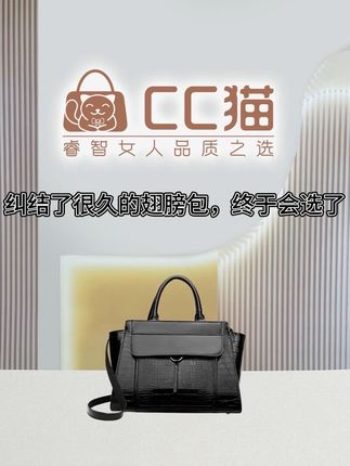 入手不亏 衣橱里有通勤背的包包 还要有一只适合出街拍照的包包呀#包包推荐 #包包控 #美出高级感 #小众包包 #翅膀包