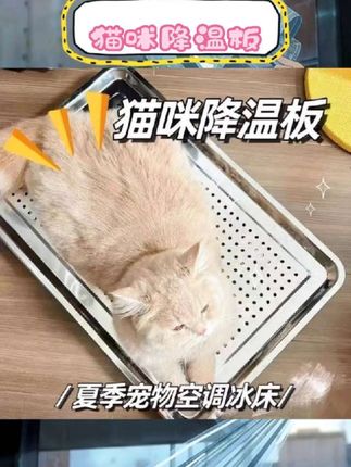 这款不锈钢宠物冰窝简直是夏季养宠救星!不锈钢材质结实耐用,搭配冰垫降温黑科技,能给毛孩子带来清爽凉意~不管是猫咪窝着打盹,还是兔子、狗狗用来避暑都合适,放在空调房里就是专属宠物小冰床,夏天再也不担心毛孩子热到啦~ #宠物降温 #夏季宠物用品 #猫窝推荐 #狗狗冰垫 #兔子避暑