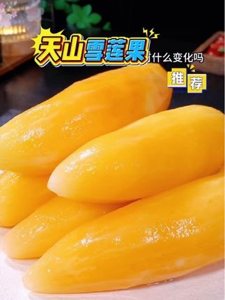 #优质农产品 #雪莲果#现挖现发 #源头好货#皮薄汁水多@抖加🔥上热门🔥dou+🔥热点宝 @DOU+上热门