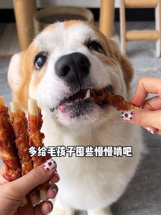 这个6块8的磨牙棒,平时给狗狗磨牙真的很合适!看到赶快薅呀!#萌宠好物 #狗零食 #磨牙棒
