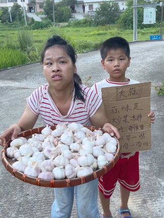 #大蒜 #蒜 #干大蒜 #农产品