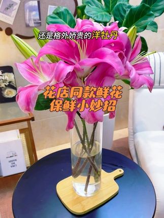 盛夏养鲜切花,最让人恼火的就是隔天就“打不起精神”。但只要用对它能延长一倍,让夏日养花不再是难题#鲜花养护#爱生活爱养花#鲜花泡腾片#鲜花#网购鲜花养护