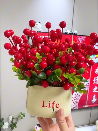 搬新家,乔迁新居,开业大吉,新房布置,这款额发财果摆件太喜庆了#装饰摆件 #乔迁新居 #寓意美好 #摆件 #开业大吉生意兴隆财源滚滚