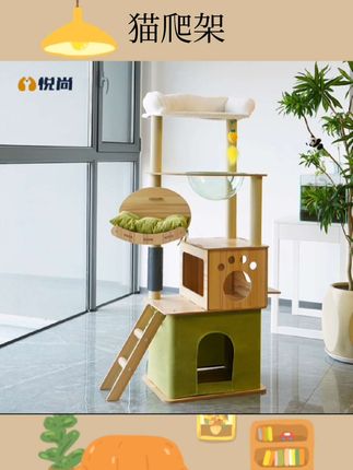 猫爬架#猫爬架推荐 #猫爬架#宠物用品 #好物推荐 #好物分享