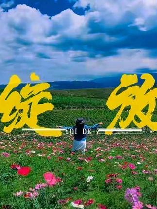 生活总要有些诗意,用来抵御内心的荒芜。#哈浮代言人 #哈浮飞行相机 #用脚步丈量世界用眼睛记录风景 #旅行推荐官 #人生几何能够得到知己