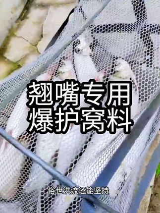 钓鱼没有巧,唯有天天干,早晚会爆护…#户外钓鱼 #鱼获满满 #翘嘴 #好物推荐🔥 #翘嘴饵料 钓鱼人🎣