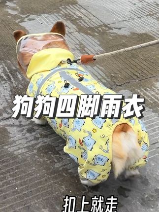 下雨下雪都要遛狗的养狗人这下有福啦,小短腿的四脚防水雨衣可以安排起来、回家就省一道洗狗的工序了#萌宠出道计划 #雨天遛狗 #狗狗雨衣 #狗狗衣服