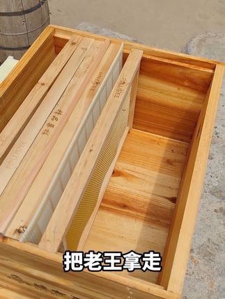 可裁剪立式隔王板中蜂专用蜂王隔王框双王蜂箱隔板养蜂工具隔王栅
