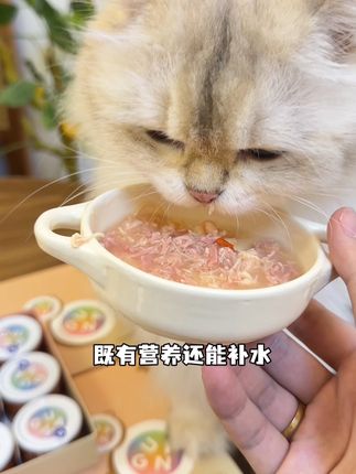 没想到我居然薅了格吾安13件湿粮大礼包!还有新品火锅汤罐诶!#猫粮分享 #格吾安罐头 #养猫好物