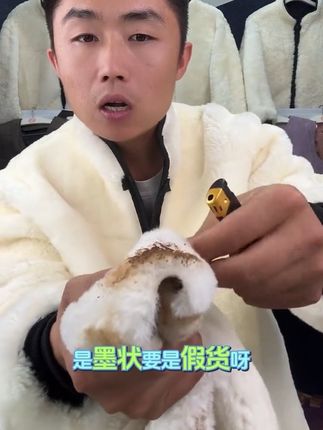 #好物推荐🔥 #生活不会辜负每一个努力的人 #源头直供 #柔软舒适 #皮草手艺人