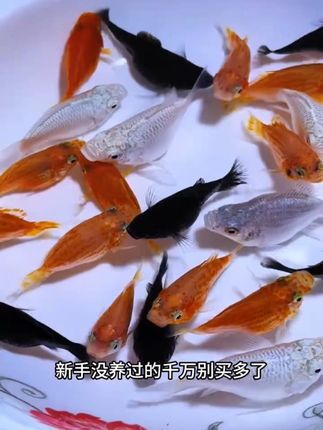 夸孩子也是一门学问要用对方式,不然只能适得其反。#亲子教育 #育儿  #家庭教育  #父母课堂  #干货分享