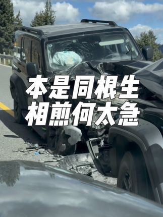 坦克300真硬 本是同根生,相煎何太急!#原创视频 #硬派越野 #坦克300