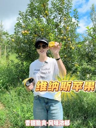今年维纳斯小果甜爆了,太好吃了!#维纳斯 #维纳斯苹果 #苹果 #新鲜采摘