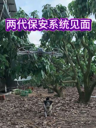 两代保安系统见面😂#无人机 #大疆无人机 #大疆AIR3S#大疆AIR3 #桨叶保护罩