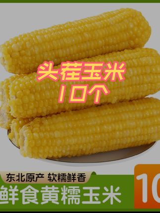 糯玉米到手10个 #玉米 #超便宜超划算 #美食 #上热门🔥 @DOU+上热门