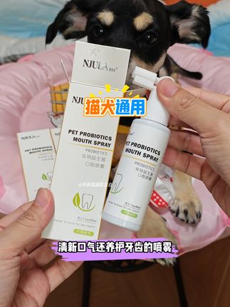 平时没时间给狗狗刷牙的,就用这个口腔喷雾喷一喷,真是方便又好用#养狗经验分享 #萌宠好物 #养宠进阶指南 #宠物口腔喷雾 #宠物洁齿水