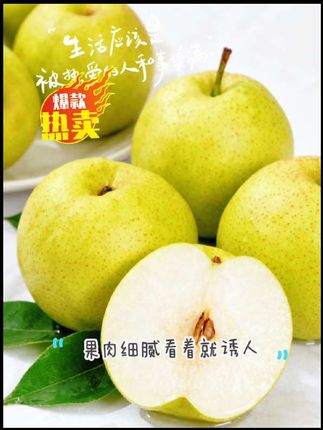 正宗山西隰县玉露香梨二级果微瑕果次果新鲜多汁产地直发烂果包赔#新鲜采摘 #应季水果 #口感好 #正宗山西隰县玉露香梨 #需要的朋友来杨英姐小黄车或者橱窗下单吧 @抖音创作小助手 @抖音问答小助手🗣️