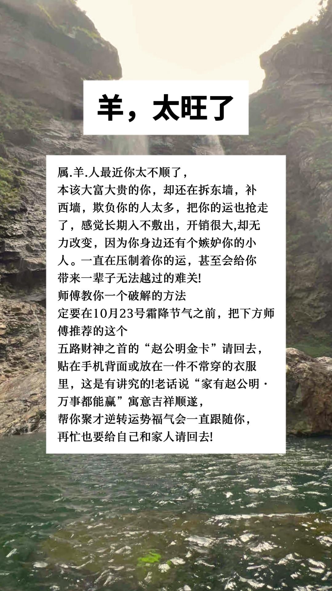 #羊 #属羊 #生肖羊