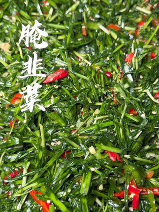 #腌韭菜 #韭菜腌辣椒 #腌辣椒 #下饭菜