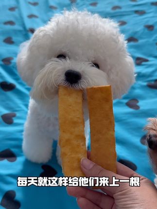 真心推给你们这个酱皮齿条,就吃吧!一吃狗子就上头! #俘获 #俘获酱皮齿条 #宠物磨牙零食 #狗零食 #狗狗磨牙零食