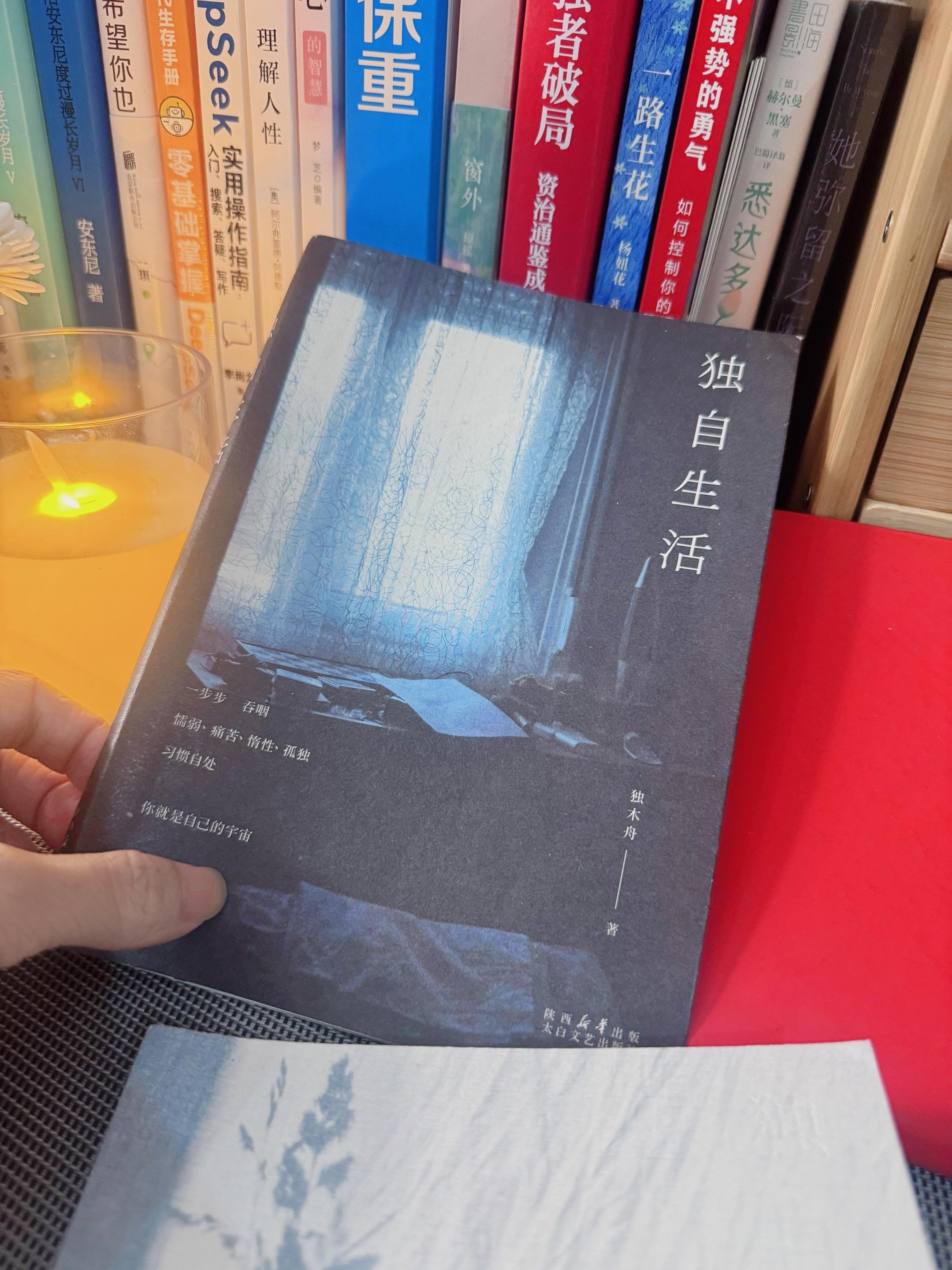人不需要用力走近任何人 这样独自生活好长一段时间了 渐渐与同事、朋友们拉开了距离 回到了一个人的状态#好书推荐 #独木舟 #独自生活##治愈系