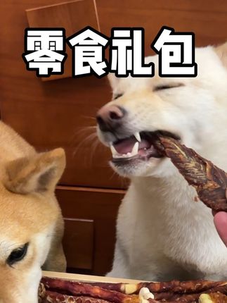 小狗零食大礼包真的是经济又实惠##养狗经验分享 #养狗人 #宠物零食推荐 #新手养狗 #宠物吃货