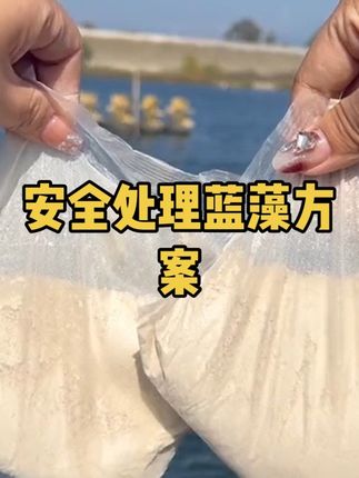 #蓝藻净#螃蟹养殖#小龙虾养殖 一袋5亩,直接扔,免发酵扩培,快速分解蓝藻