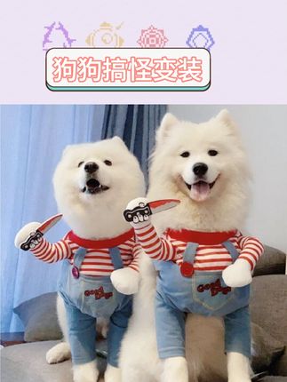 哈哈,这些狗狗搞笑服装也太绝了吧!拿刀娃娃造型、哈士奇变身装,穿上直接变身行走的笑点制造机😂 哈基咪穿上也毫无违和感,呆萌又搞怪,拍照发圈绝对炸场~ 材质也舒服,狗狗不会抗拒,主打一个放飞自我的可爱! #宠物搞笑服装 #狗狗变身装 #哈基咪服饰 #萌宠恶搞穿搭