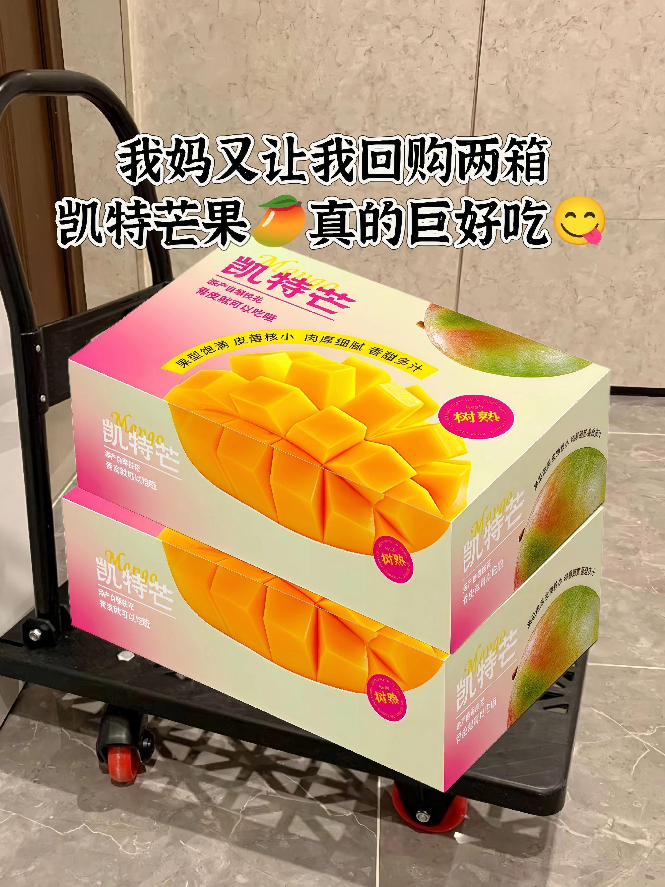凯特芒果肉金黄饱满,入口即化爆汁。果香浓郁独特,带有热带水果特有的香甜气息。精选云南核心产区,现摘现发保证新鲜度。果皮薄如蝉翼,果核细小可忽略,建议冷藏后食用,冰爽口感更佳。#新鲜应季水果 #凯特芒果 #芒果 #大人小孩都爰吃 #谁懂这一口的好吃程度