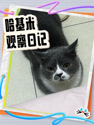 #好主人#冻干 纯鲜肉制作猫冻干