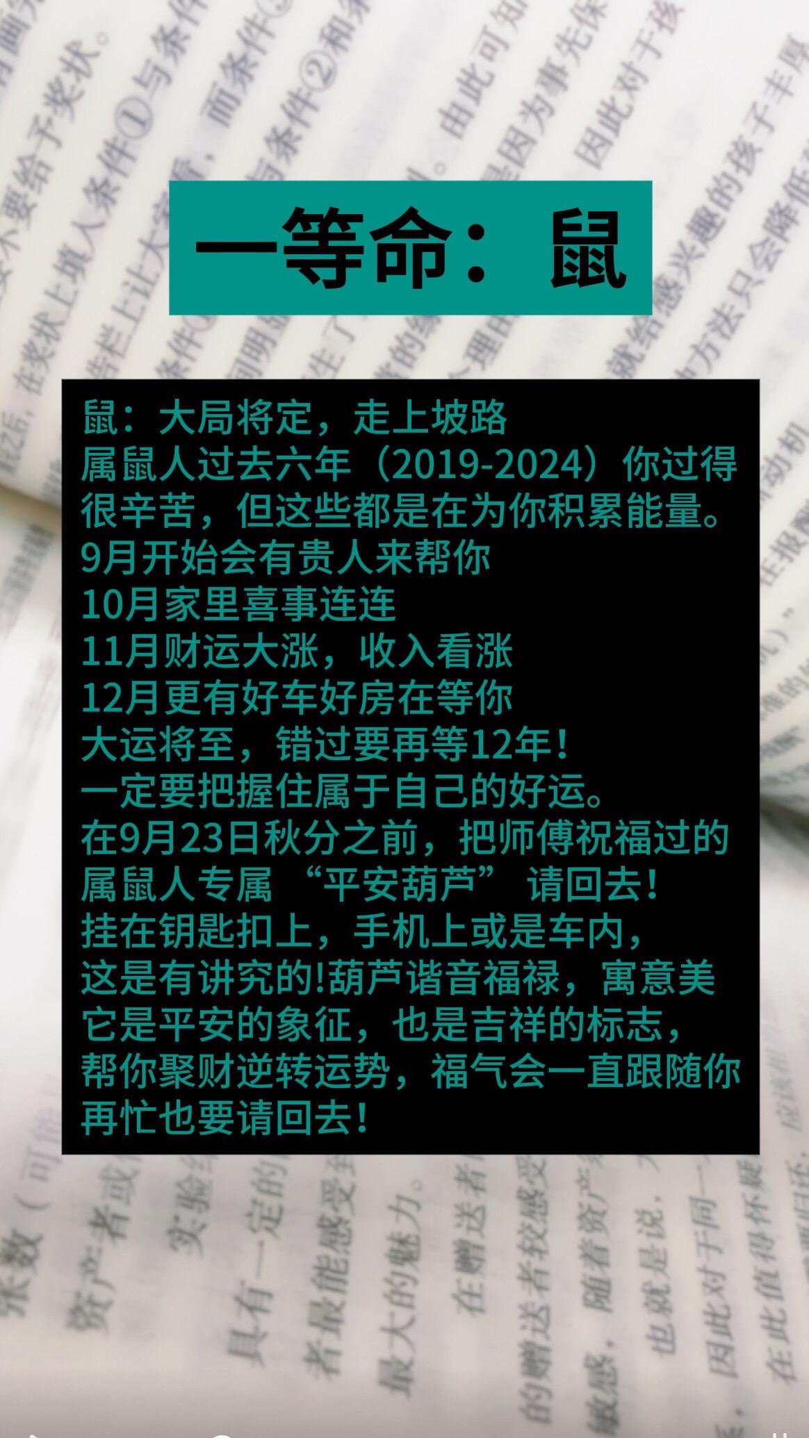 #鼠 #属鼠 #生肖鼠