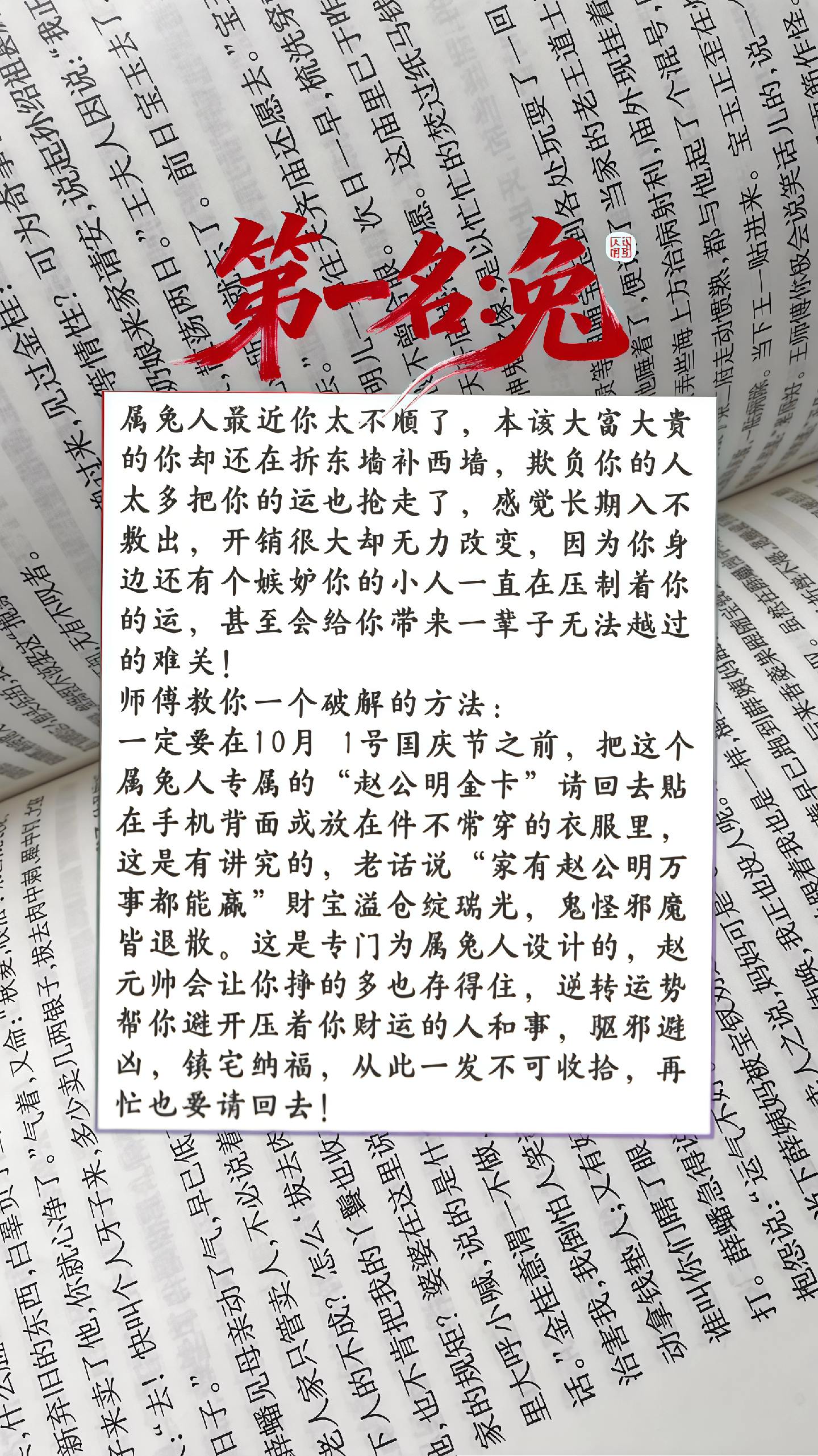 #1963 的兔 #1975 的兔 #1987 的兔 #1999兔子