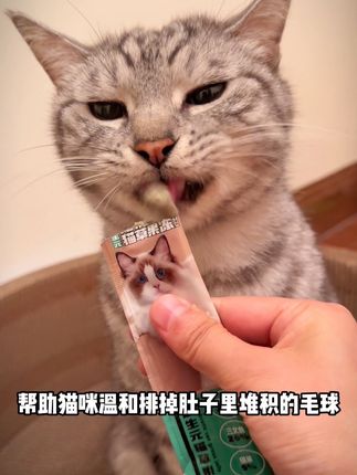 还在为猫咪吐毛球焦虑吗?试试可以温和排毛的猫草果冻!配料干净吃着安心!现在破价活动29.9到手10盒!太划算了!赶紧囤#养宠必备 #宠物好物 #宠物好物分享