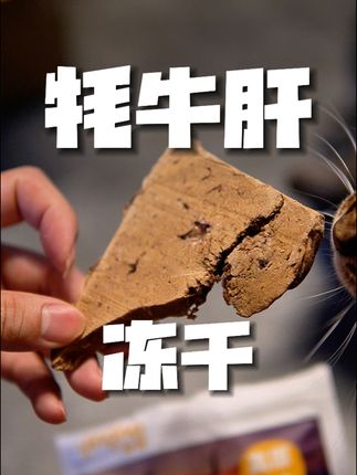 毛孩子很喜欢