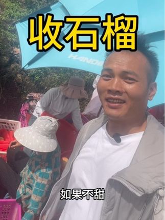 走,跟我一起去收石榴!胖老板说了 不甜不要钱 谁懂啊!刚收到的现摘软籽石榴也太绝了! 果子带着枝头的新鲜劲儿,表皮红得发亮。一刀切下去,满果肉像红宝石一样挤爆壳,完全不用吐籽,嚼着全是清甜汁水,一点不涩口! 老板超敢说“不甜不要钱”,亲测真的甜到心巴上!现在下单还能发当天摘的,爱吃石榴的宝子闭眼冲,踩雷算我的!#现摘水果 #石榴季 #会理石榴 #突尼斯软籽石榴 #攀枝花芒果