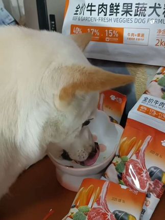 心粮牛肉果蔬犬粮 谁家的狗狗还没吃过这么好的犬粮?就是这个牛肉鲜果蔬全价全期益生元无谷成犬幼犬配方,里面含有丰富的牛肉鲜果蔬,可以给狗狗提供足够的蛋白质和维生素,还有益生元可以帮助狗狗消化吸收。无谷物添加,不用担心guo敏问题,家里养了狗狗的朋友赶紧试试吧!#心粮犬粮 #心粮 牛肉犬粮 #果蔬犬粮 #狗子的日常 #狗子的幸福