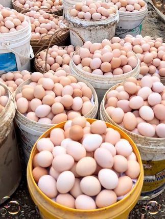 #鸡蛋 #农家散养土鸡蛋