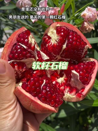是谁还没有收到-男朋友送的-夏天的第一颗红石榴呢~#石榴 #夏天的第一颗石榴 #仪式感 #应季水果