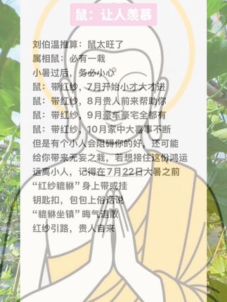 #鼠 #属鼠 #生肖鼠