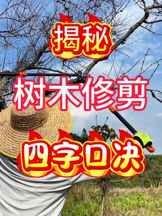 树木修剪四字口决大揭秘,学会不求人!#果树修剪 #果树 #三 树木修剪四字口决大揭秘,学会不求人!#果树修剪 #果树 #三农 #园林养护#果树管理