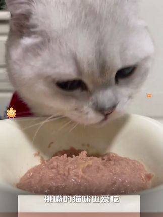 【味当家 乳鸽鲜厨】乳鸽猫粮主食湿粮包猫零食主食餐包猫饭狗零食#萌宠好物 #宠物零食 #主食餐包 #主食湿粮包