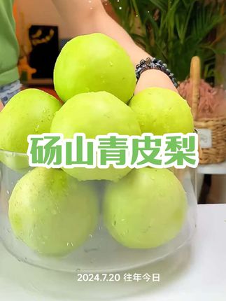砀山青皮蜜梨脆甜无渣汁水新鲜正宗时令水果皇冠梨#优质农产品 #梨#青皮梨 #新鲜采摘
