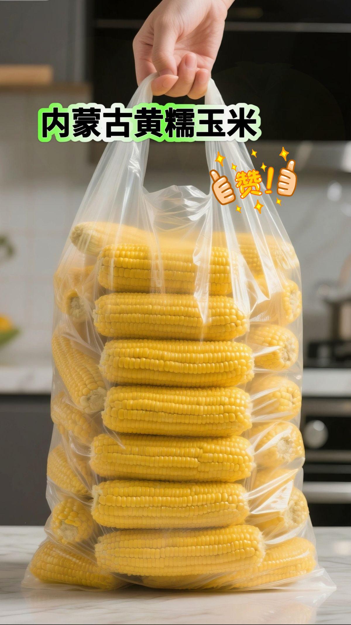内蒙古黄糯大玉米!这个玉米真的好糯啊,软糯香甜,还可以拉丝!真的太好吃了!#玉米 #黄糯玉米 #内蒙古玉米 #糯叽叽的美食谁顶得住 #优质农产品