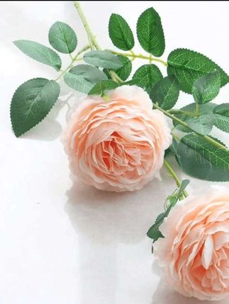 仿真玫瑰花假花干花花束摆设客厅餐桌装饰塑料花摆花插花花艺摆件#玫瑰花 #仿真花艺 #装饰花#绿植 #超便宜超划算