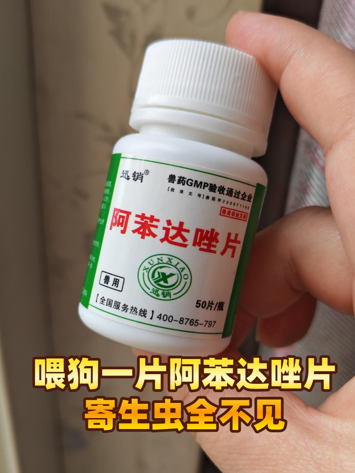 阿苯达唑片。喂狗一片阿苯达唑片,所有寄生虫全不见#萌宠好物 #科学养宠攻略 #狗狗驱虫 #病虫害防治 #科学喂养
