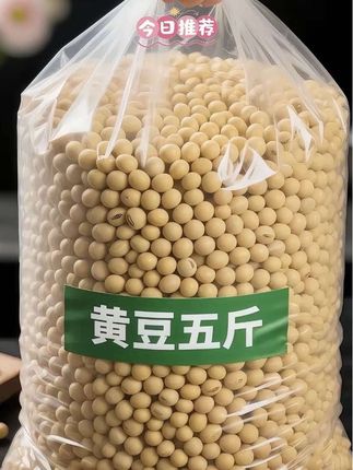 东北黑土地黄豆,真的绝! 谁懂啊,东北黑土地的黄豆。 日照足、水土肥,颗颗饱满圆润,自带阳光味~磨浆浓醇,打豆浆香浓[ 农家自种的实在货,吃的就是原生态好滋味! 咱就说,这才是真正的东北宝藏豆,狠狠爱上了! ◎ #黄豆#五谷杂粮#东北黄豆 #粗粮细作 #图文伙伴计划