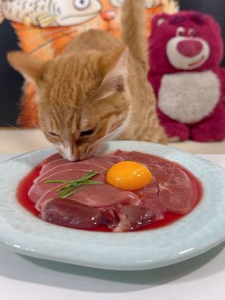肉肉拼盘(吃的比我好系列) #万物可爱计划 #猫咪沉浸式吃饭 #吃货猫 #猫咪 #宠物吃播