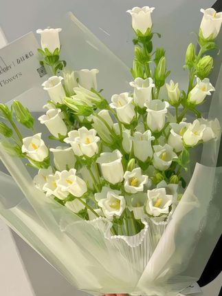 #单依纯 #单依纯邓丽君串烧 #歌手2025 #如果此爱忘了 #单依纯演唱会