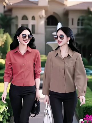 港味长袖衬衫女2025春秋款宽松设计感显瘦polo领减龄遮肉气质衬衣#夏季梨形身材穿搭 #夏秋穿搭小过渡 #盛夏穿搭扫货季 #夏季干净风穿搭 #解锁职场穿搭