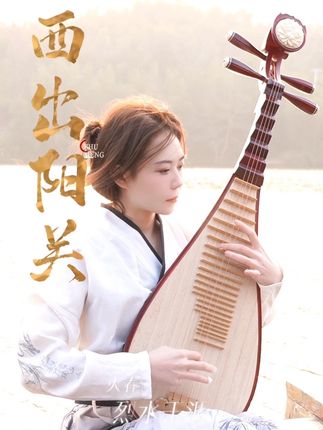 西出阳光无故人#弘扬国乐 #民族乐器 #国风古韵 #古风 #弹琵琶